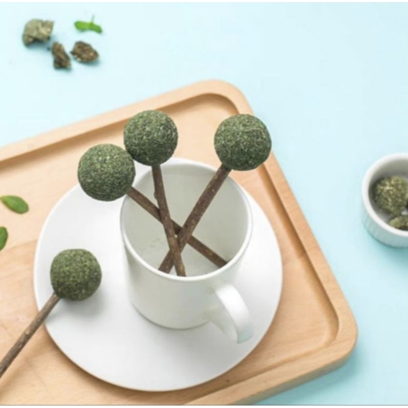 Catnip lollipop cat candy snack pet food edible toy teeth cleaner bar