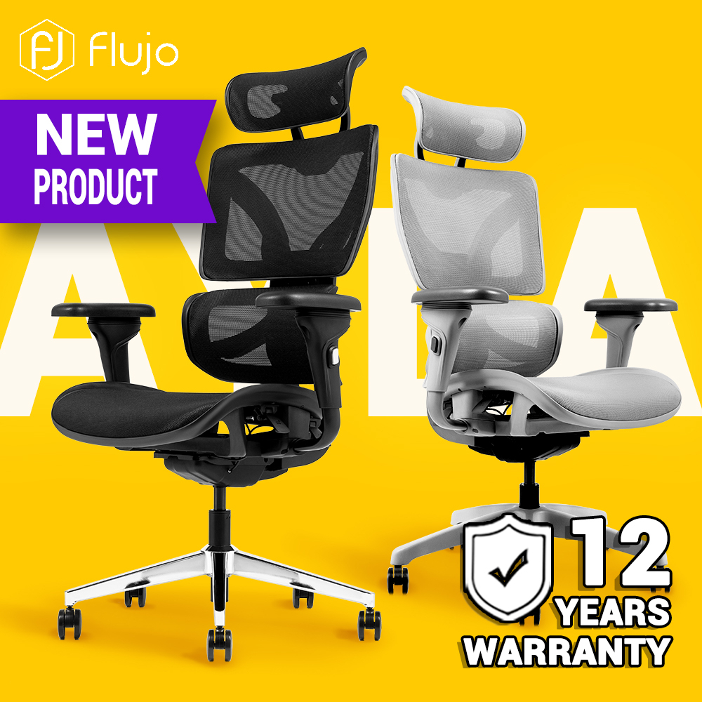 Flujo Ayla Ergonomic Dupont Mesh Chair, Lumbar Support, Backrest Dual