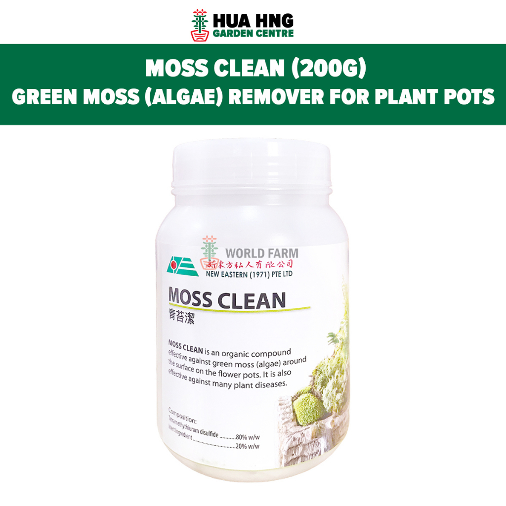 MOSS CLEAN, Green Moss (Algae) Remover / Powder Algaecide for Plant