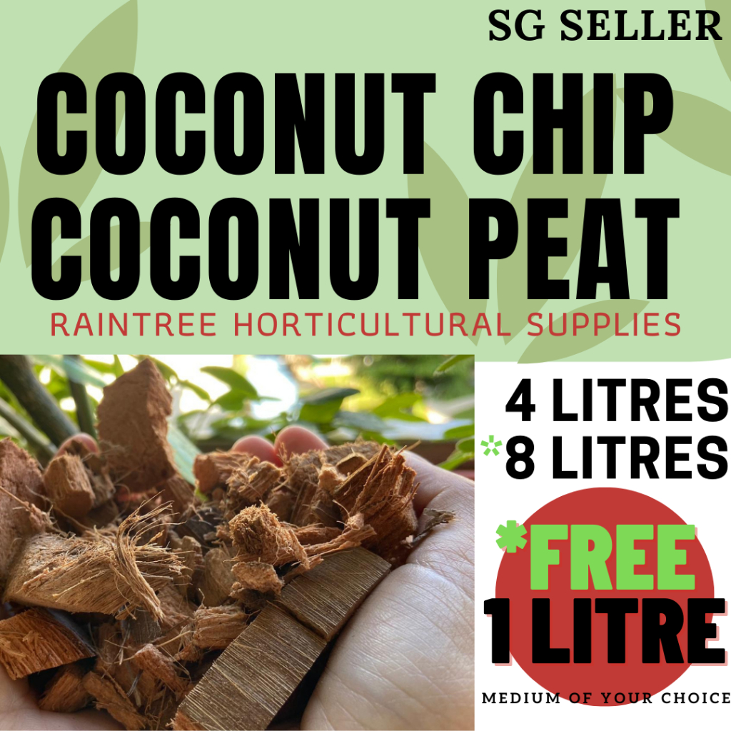 COCONUT PEAT / COCONUT CHIPS for gardening SG SELLER (gardening