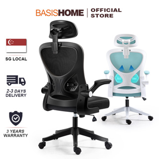 BASISHOME Office Chair Ergonomic Desk Chair Computer Mesh Chair with Lumbar Support and Flip-up Arms