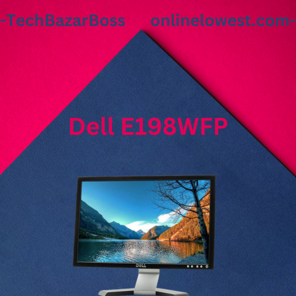 dell e198wfp