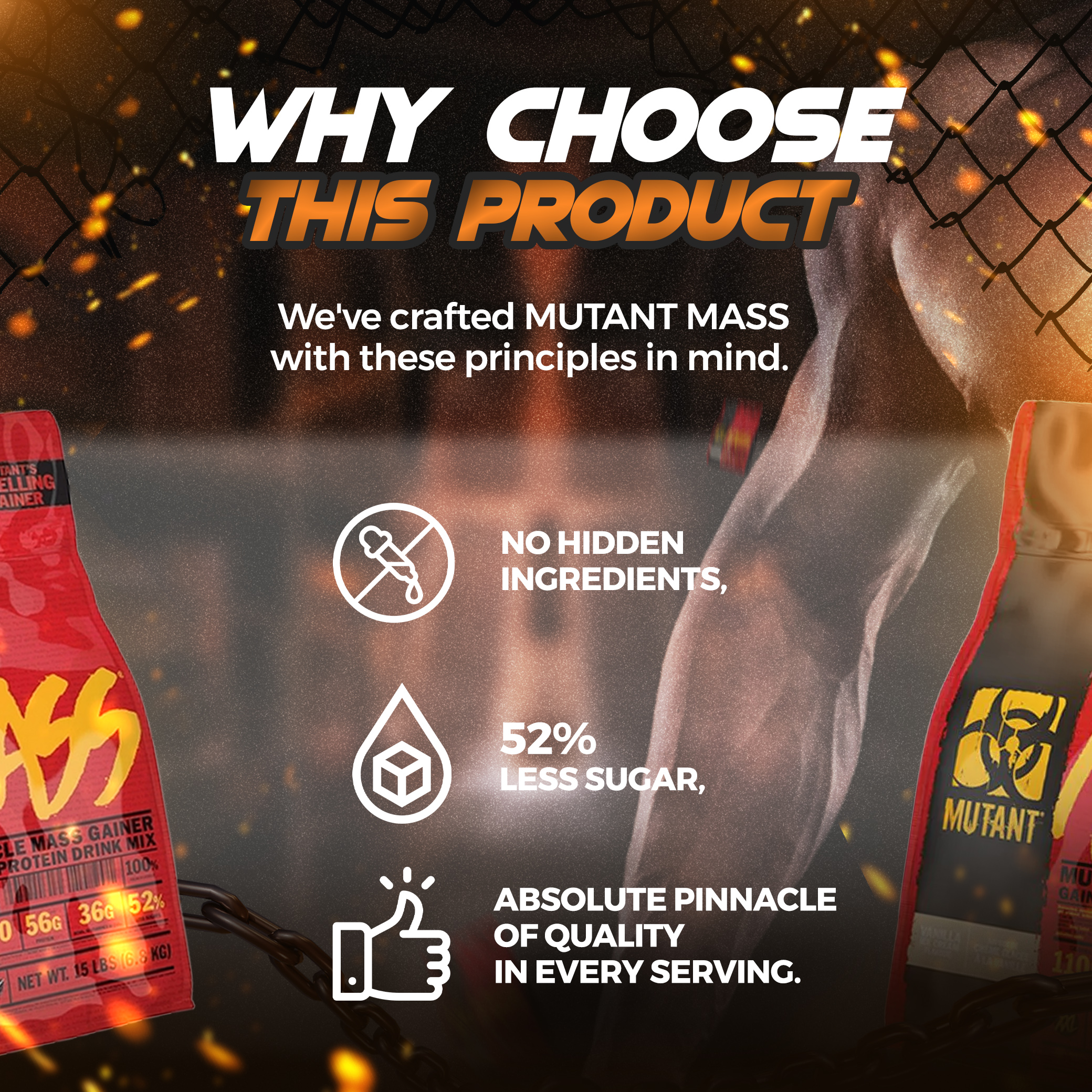 Why choose MUTANT MASS, Muscle Mass Gainer, Weight Gainer Protein Powder With Whey Protein Isolate High Caloires, 280G