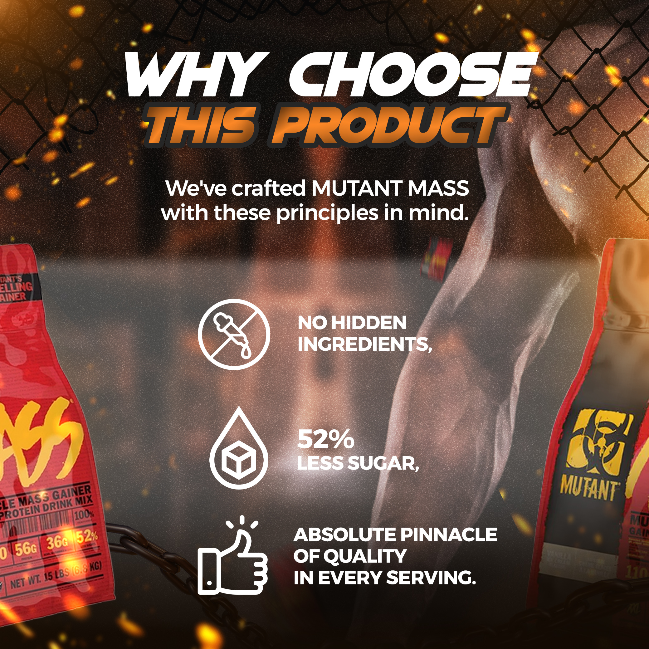 Why choose MUTANT MASS, Muscle Mass Gainer, Weight Gainer Protein Powder With Whey Protein Isolate High Caloires, 280G