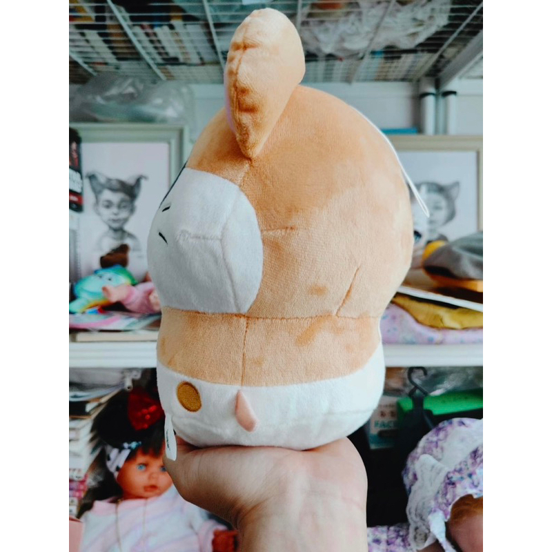 bg