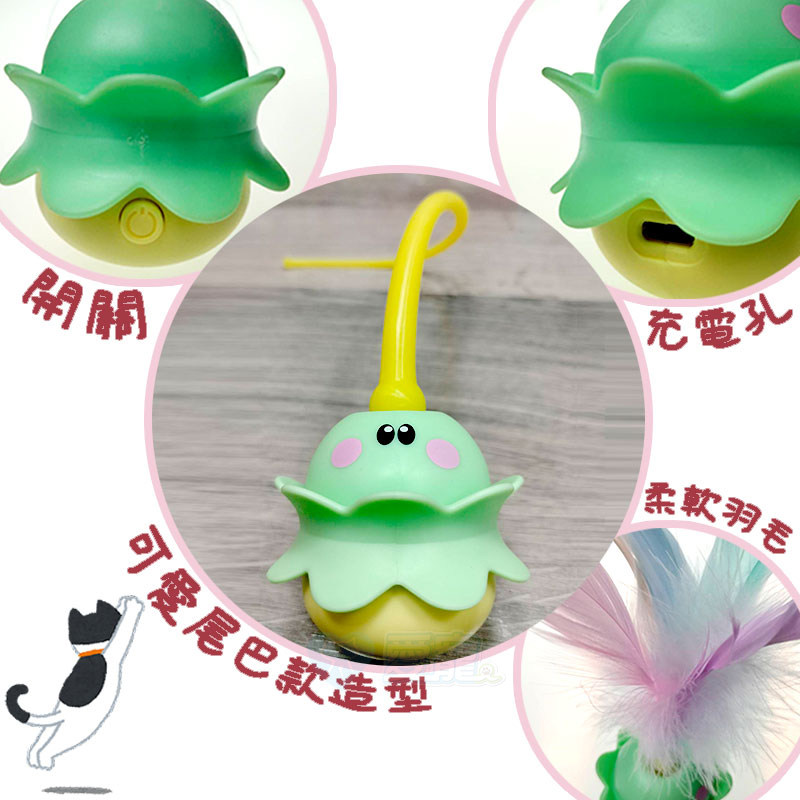 bg