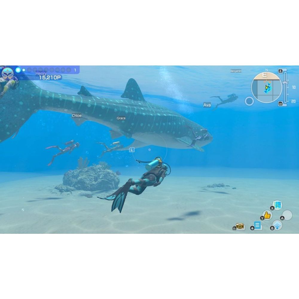 bg