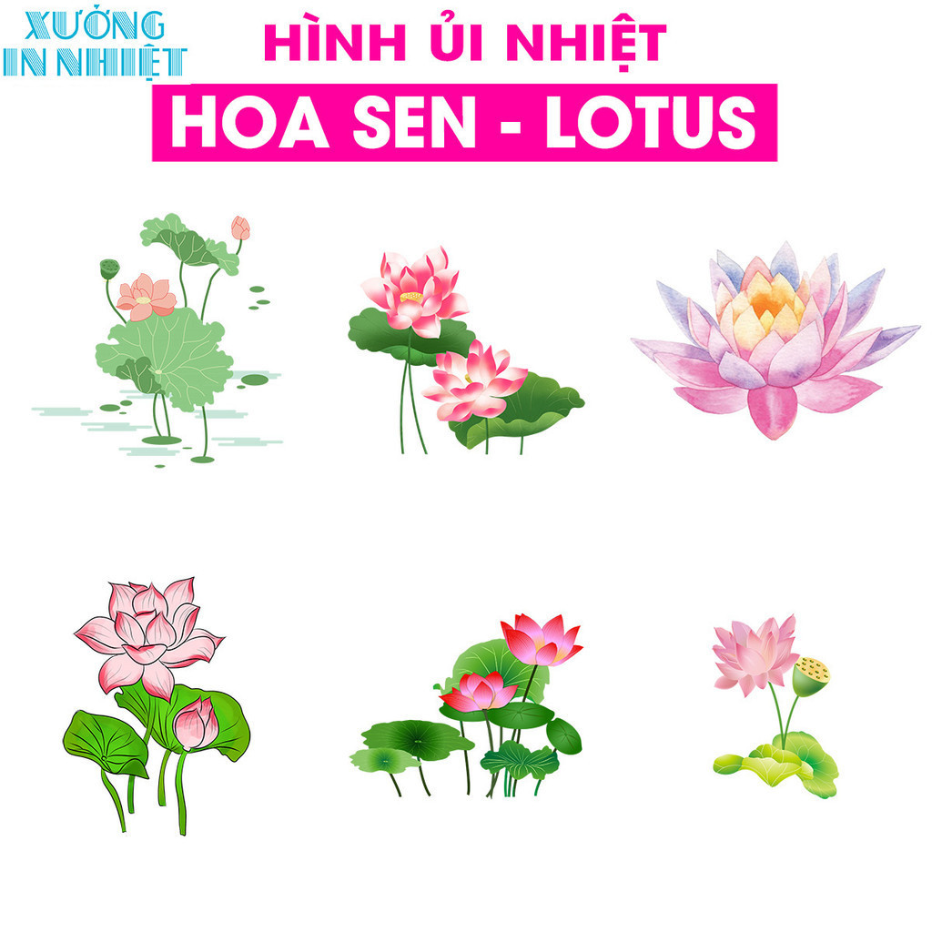 (Hình Ủi - Hình Ép Nhiệt Quần Áo) Hình Ủi Hoa Sen - Lotus, Có In Theo Yêu Cầu 6