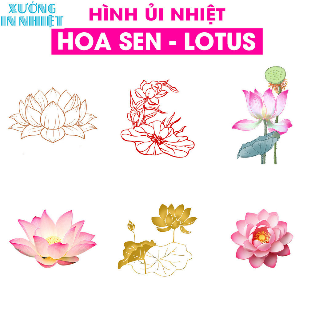 (Hình Ủi - Hình Ép Nhiệt Quần Áo) Hình Ủi Hoa Sen - Lotus, Có In Theo Yêu Cầu 36