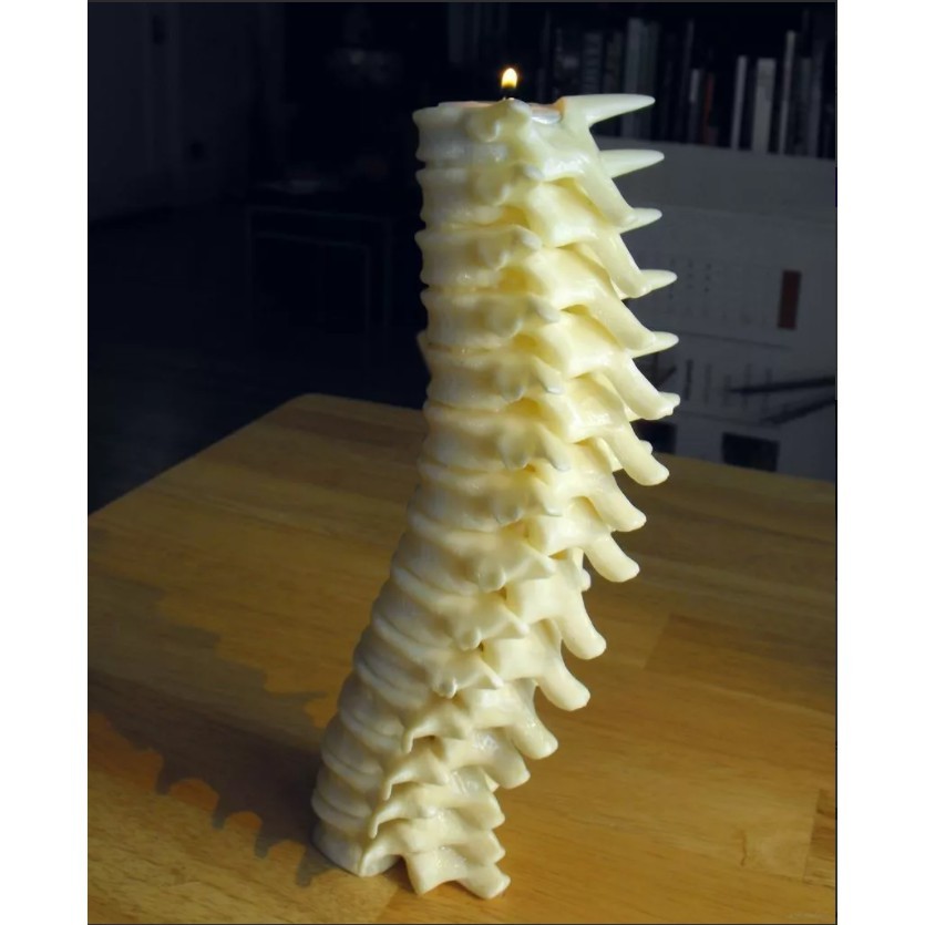 Đế cắm nến Xương sống Spine Candle Holder cực độc đáo