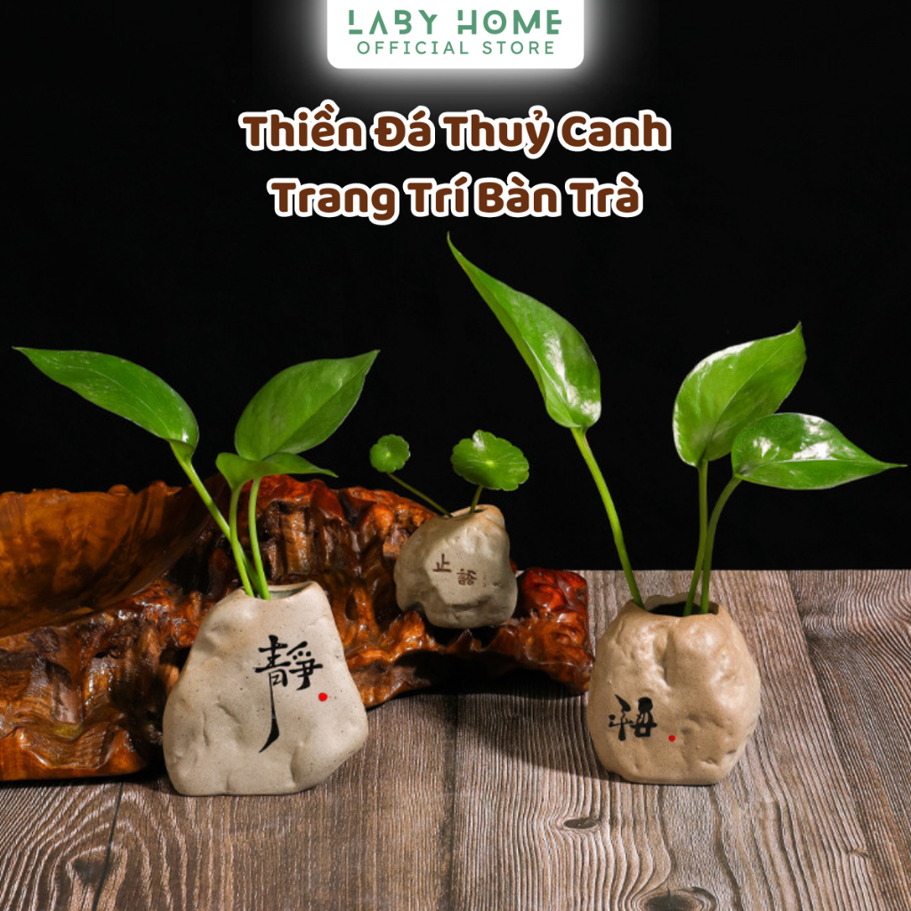 Thiền Đá Trang Trí Phòng Khách Bàn Trà, Chậu Hoa Trồng Cây Thuỷ Canh Sáng Tạo, Hoa Đá Khoét Lỗ Decor Để Bàn LABY HOME