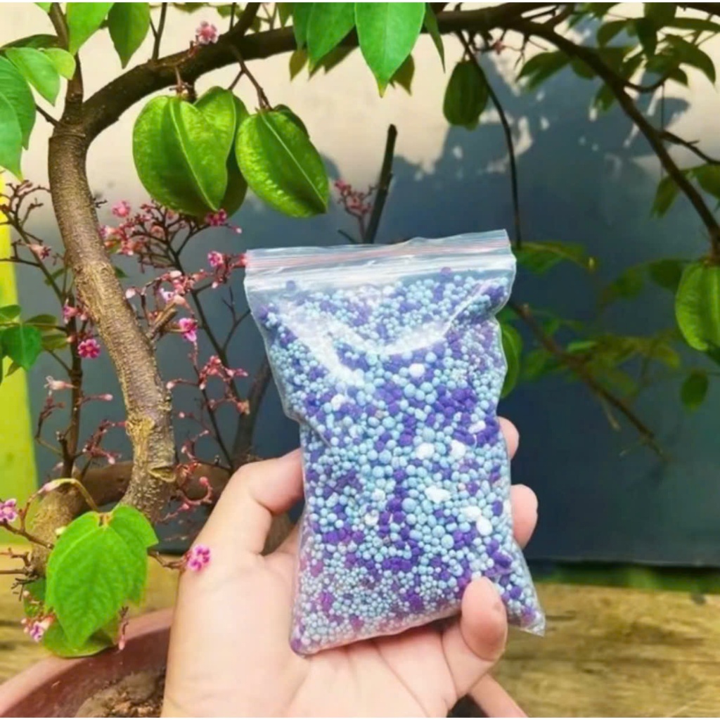 phân bón MIC kích hoa kích quả ( sung . khế ... )