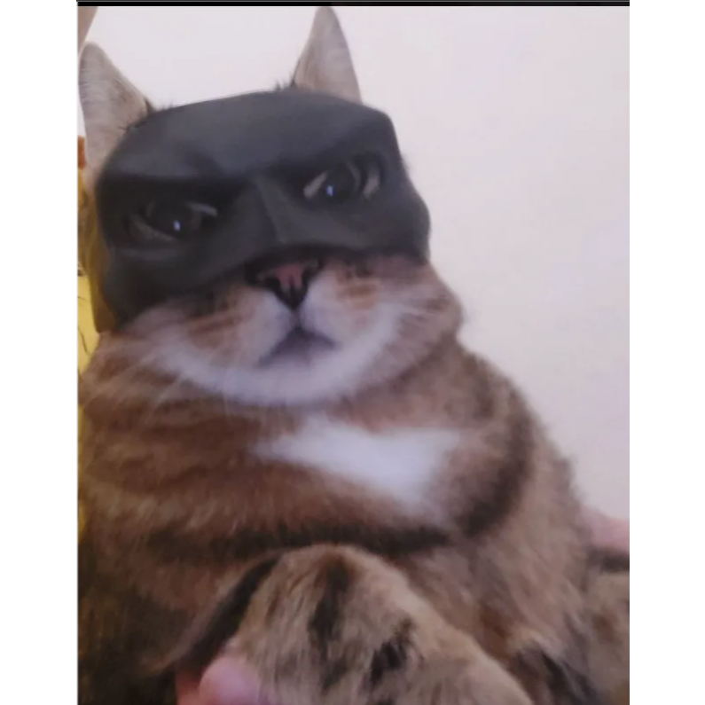 Mũ cho mèo Batman Batcat đồ thú cưng ngộ nghĩnh đáng yêu