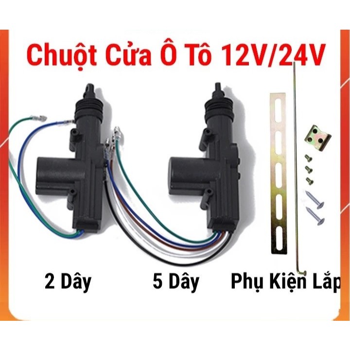 Chuột cửa ô tô 12V - 24V loại 2 dây và 5 dây điều khiển chuột cửa tự động