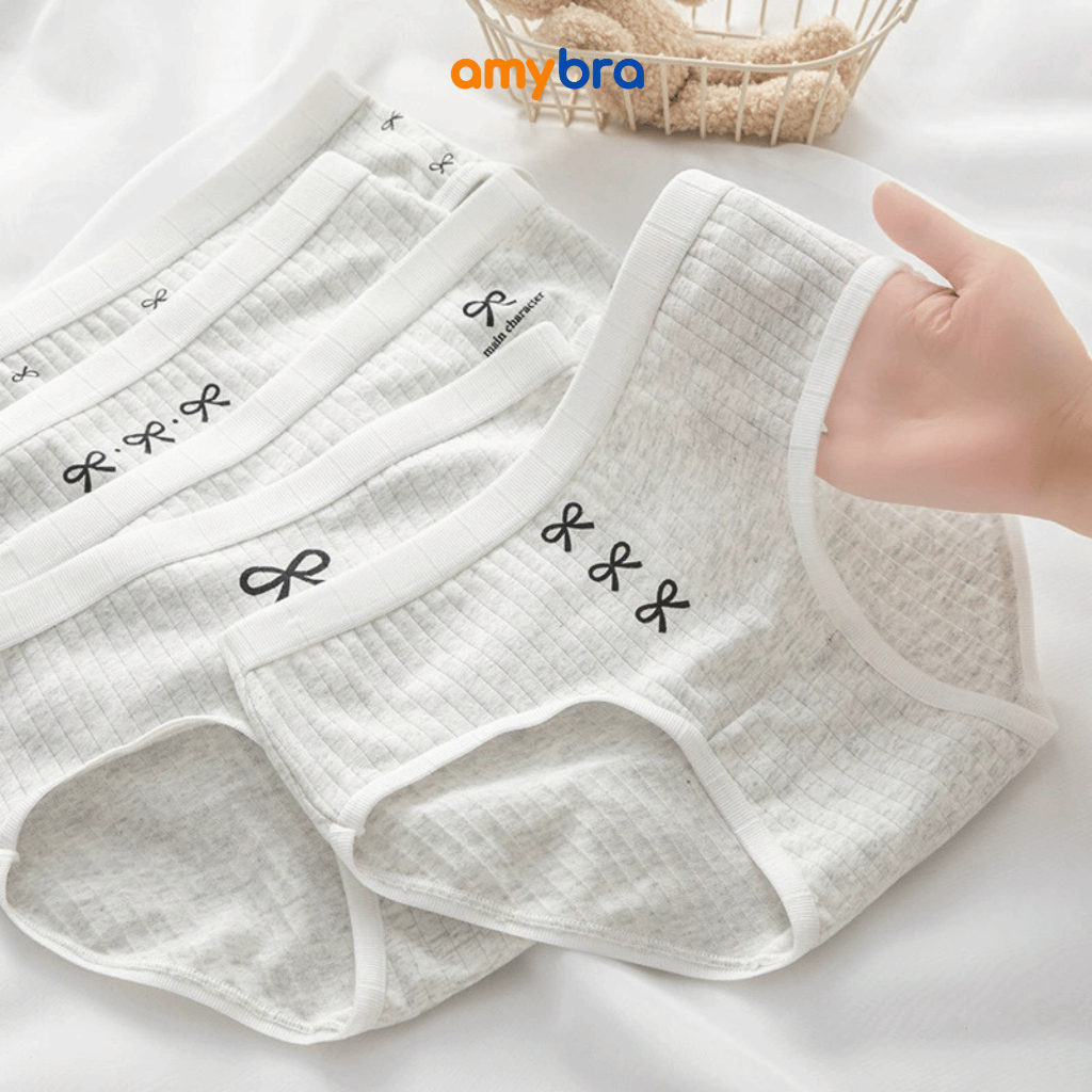 [ MẪU MỚI ] Combo Quần Lót Nữ Cotton Gân Mềm Mại, Set Quần Chip Cạp Vừa Co Giãn AMYBRA L1108