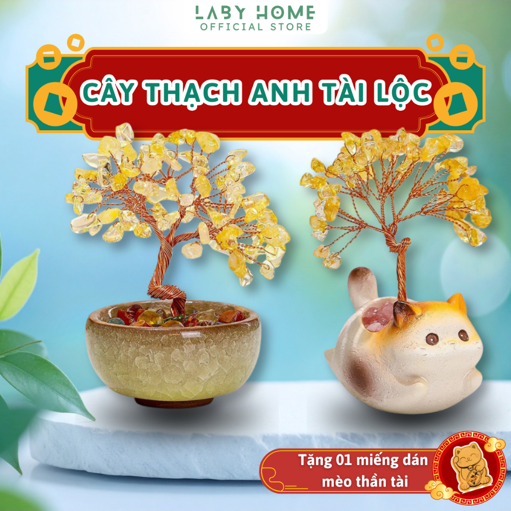 Cây Đá Thạch Anh Giúp Tăng Năng Lượng Tốt, Quà Tân Gia Cải Thiện Phong Thủy & Tích Cực May Mắn