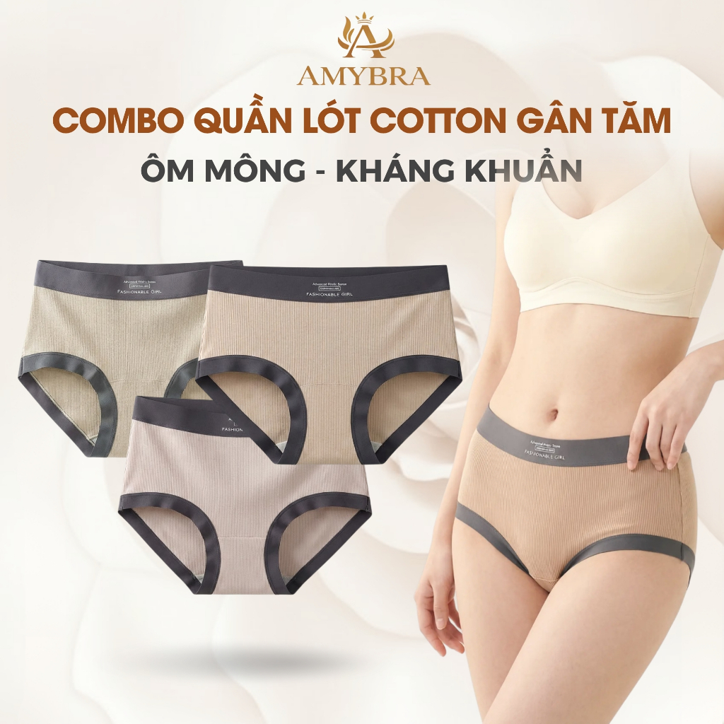 [ BST 2026 ] Combo Quần Lót Nữ Đáy May Kháng Khuẩn, Set Quần Chip Gân Tăm Co Giãn AMYBRA L5246