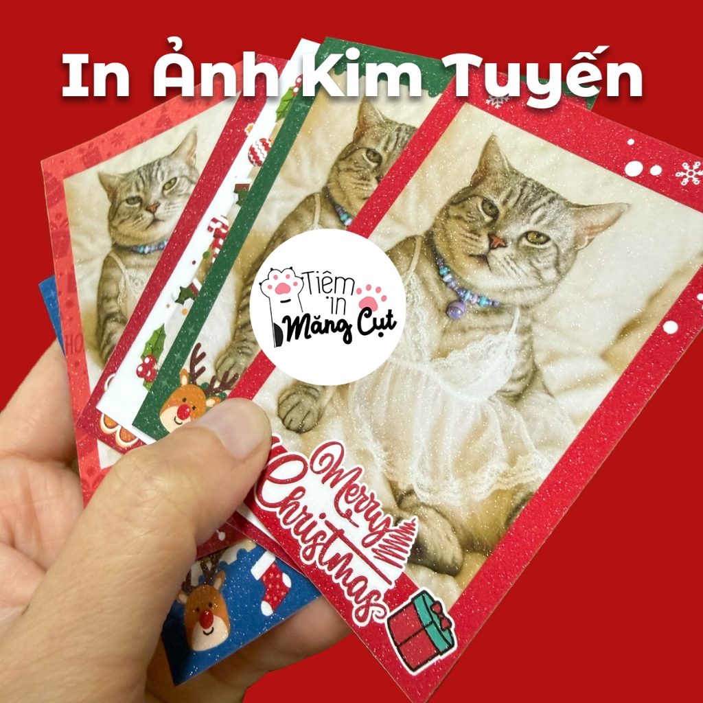 [Nhận in từ 9 Ảnh] In Ảnh Christmas Noel Giáng Sinh Cán Màng Kim Tuyến Nhám Lấp Lánh