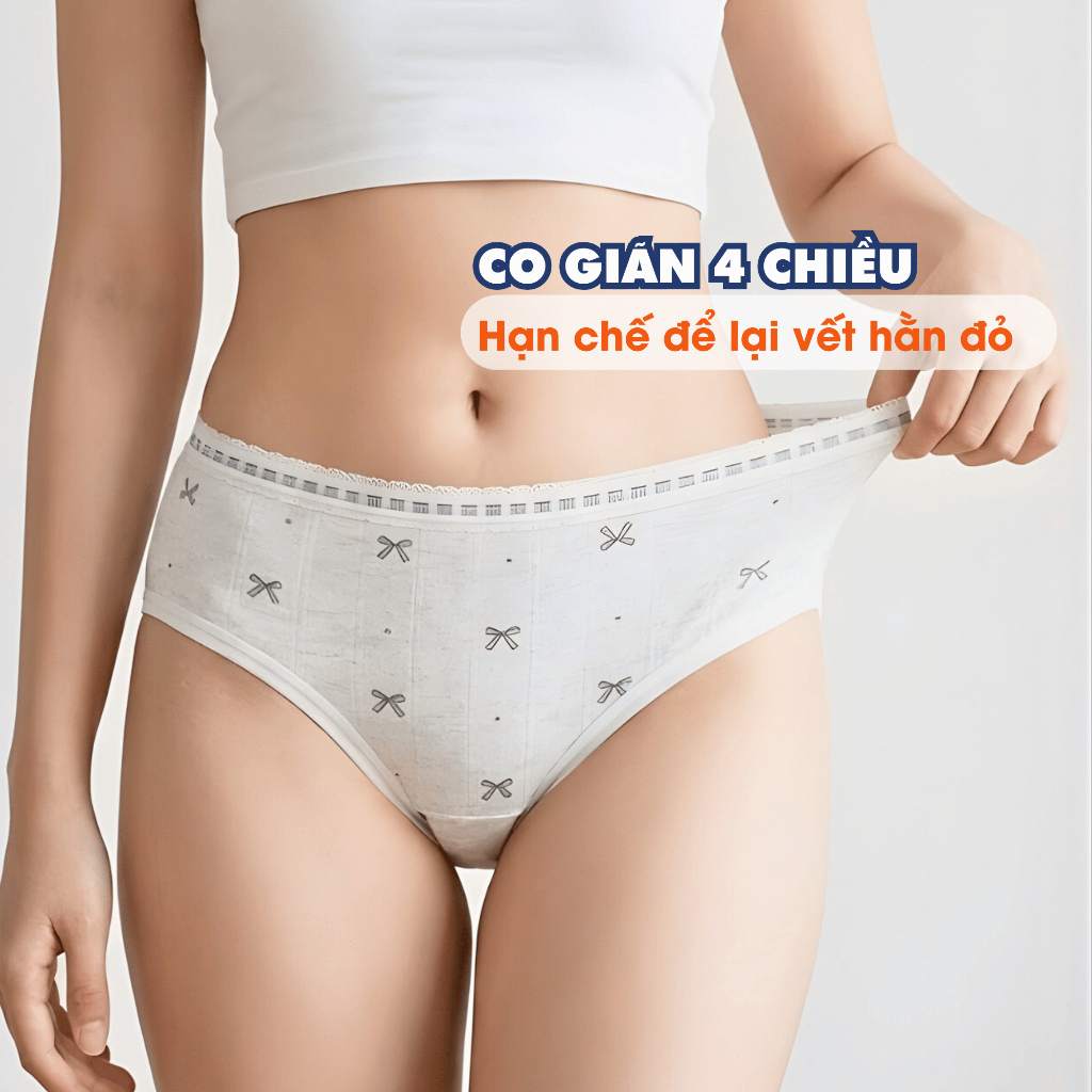 Quần Lót Nữ Cotton Họa Tiết Gấu Nơ - Quần Chip Nữ Cao Cấp Đáy May Kháng Khuẩn AMYBRA L1129