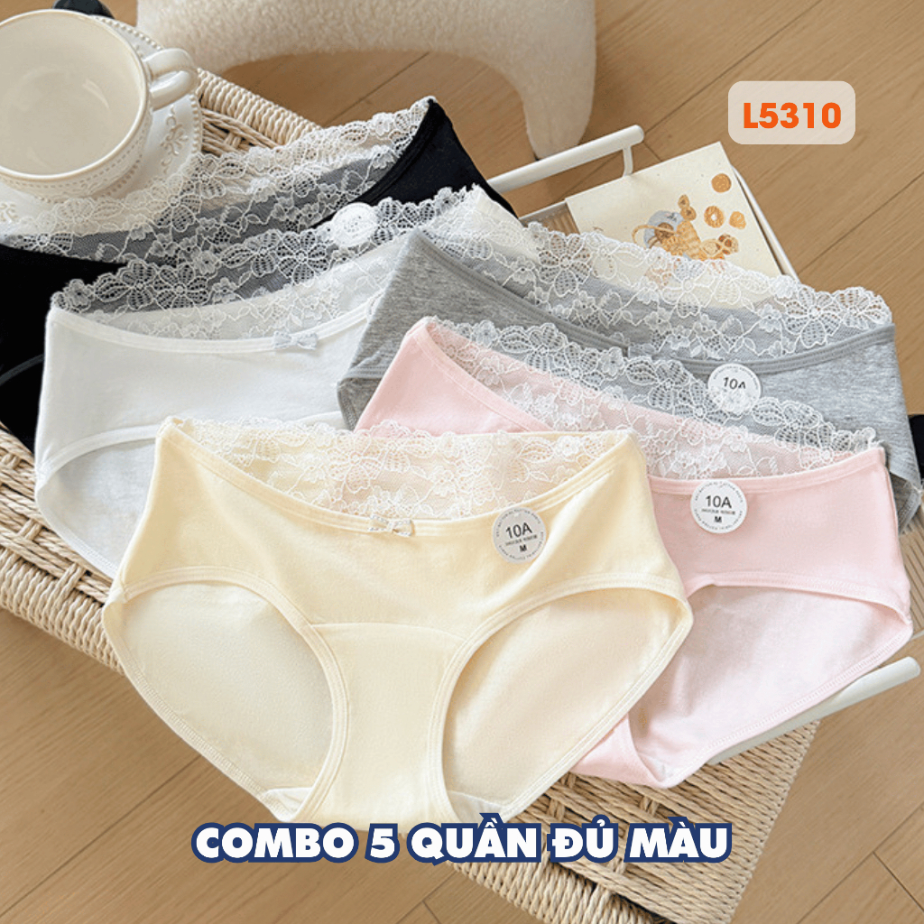 Combo Quần Lót Nữ Cotton Cạp Vừa Phối Ren Mềm Mại, Set Quần Chip Đáy May Kháng Khuẩn AMYBRA L5310