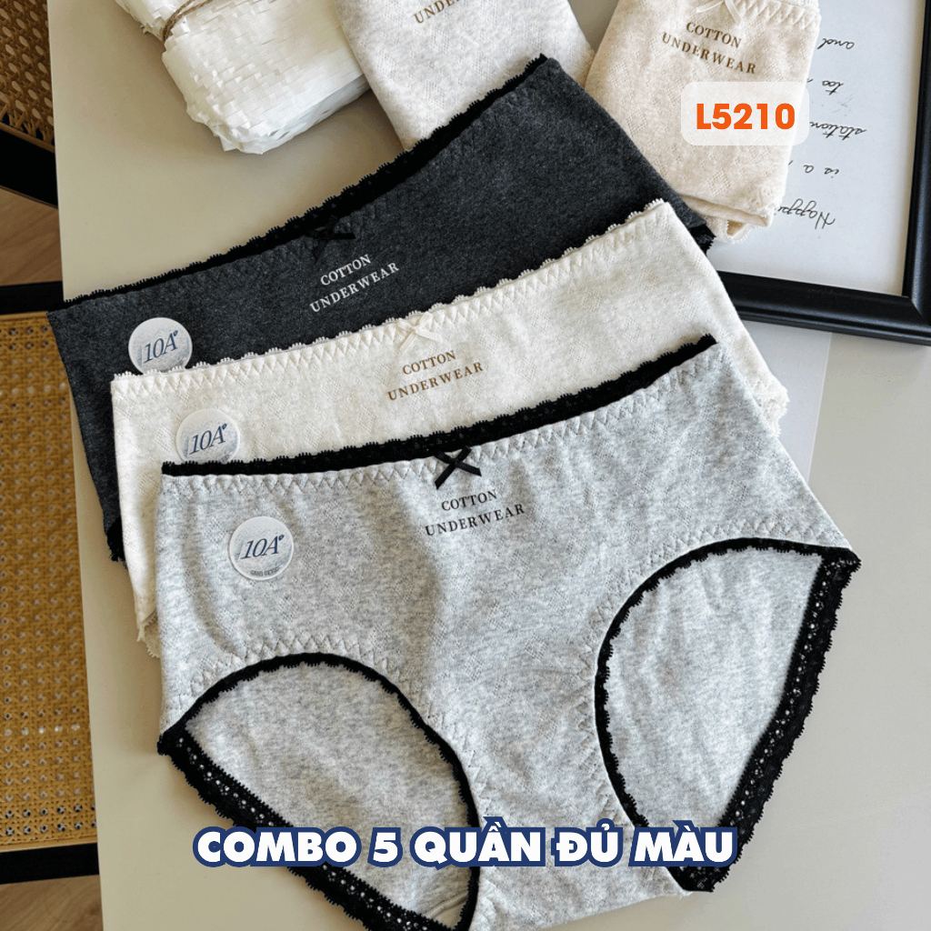 [ MẪU MỚI ] Combo 5 Quần Lót Cotton Mềm Mại, Set 5 Quần Lót Đáy May Kháng Khuẩn AMYBRA New
