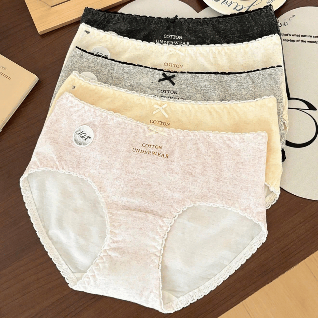 [ MẪU MỚI ] Quần Lót Nữ Cotton Kháng Khuẩn Đáy Rộng, Quần Chip Nữ Viền Ren Cao Cấp AMYBRA L5210