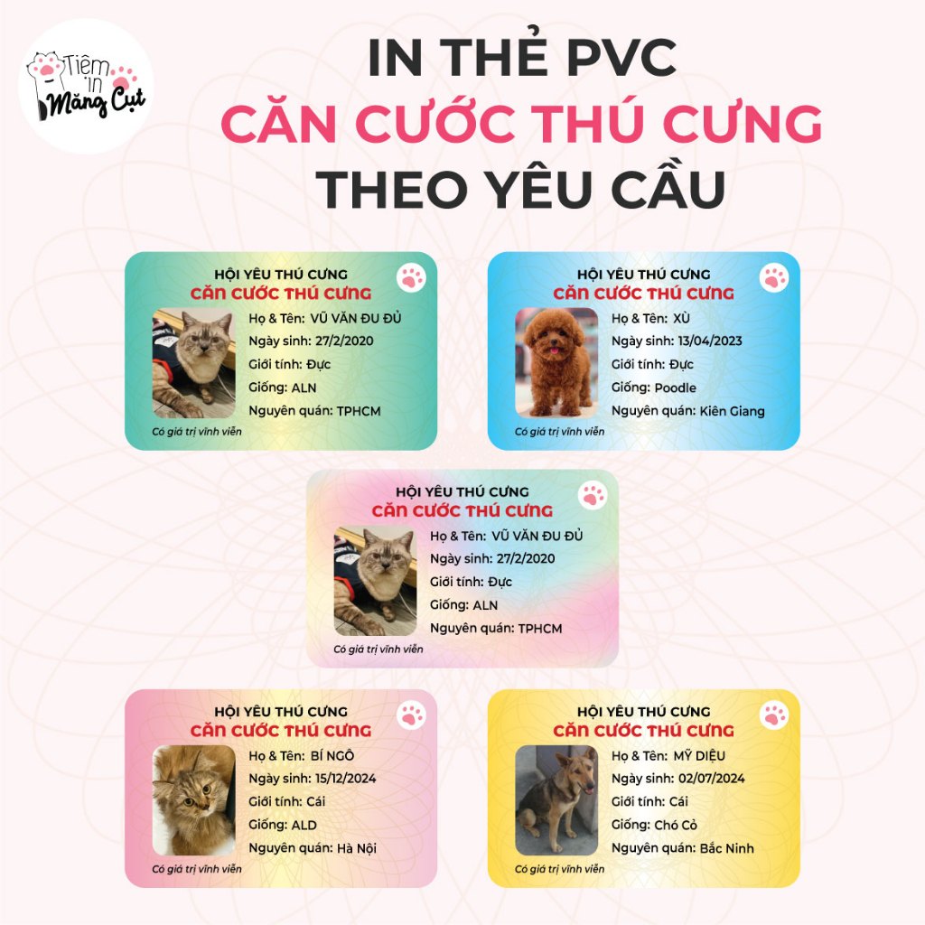 [MUA 3 TẶNG 1] In Thẻ Căn Cước Thú Cưng Cho Chó Mèo Thẻ Nhựa PVC Dẻo Bền